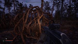 S.T.A.L.K.E.R. 2 -Рязряженная аномалия хваталка