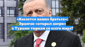 «Касается наших братьев»: Эрдоган «открыл двери» в Турцию тюркам со всего мира?