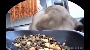 В месте вкуснее