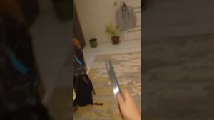 Лайф стрим, меня разбанили, готовлюсь ко сну, разговариваю с вами!