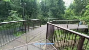 Сафар парк в Можайске часть вторая. Прогулка к львятам и тигрятам.