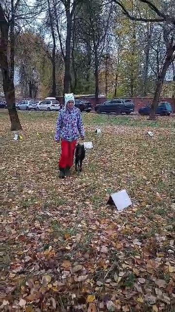 Трен ралли Пи RO1 19.10.2025