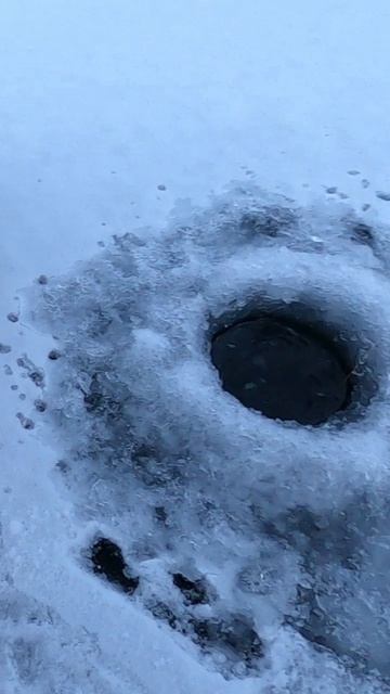 Окунь на финскую блесну