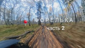 форелька часть 2