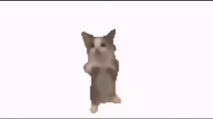 Всех с др рутуба!!!