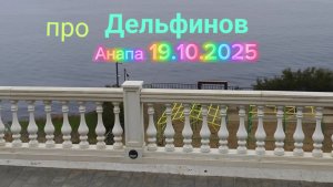 Анапа 19.10.2025 про Дельфинов