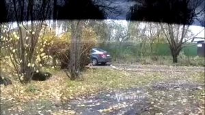 Выбросил кошку с котятами и уехал