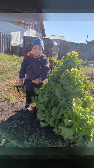 video_2025-10-19_18-18-24