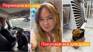 Переехали в город с кото-бандой. Моя оранжерея приводит в шок, уборка каждый день.Выбираем интерьер
