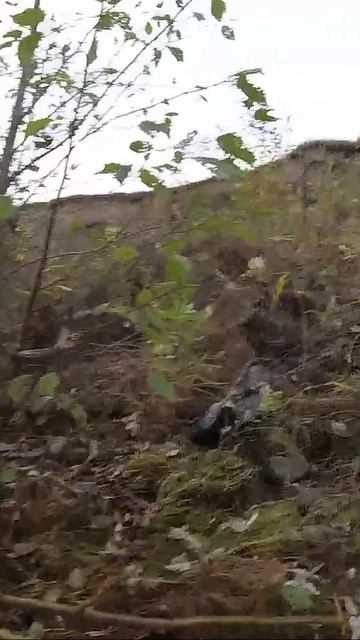 Рыбалка на ультралайт осенью 2025! Окунь начал активную охоту!