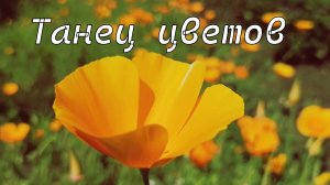 Танец цветов