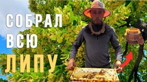 Медосбор с ЛИПЫ 2025: испытываем новый фасовщик для мёда