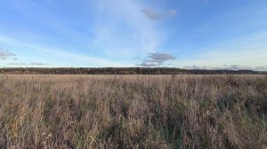 Поле. ч.3. Октябрь 2025