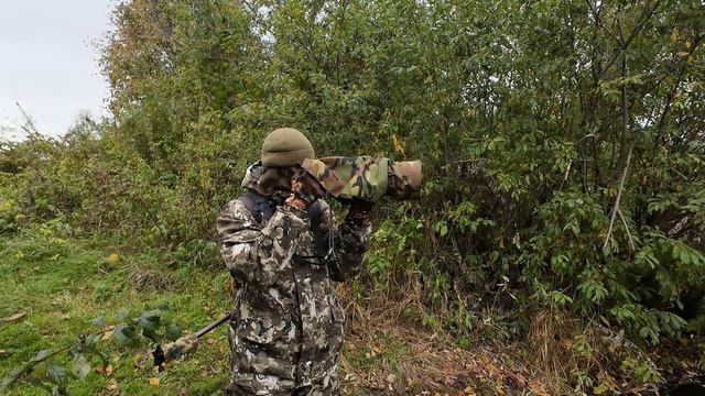 Фотоохота с Альбертом. Ещё не улетели..