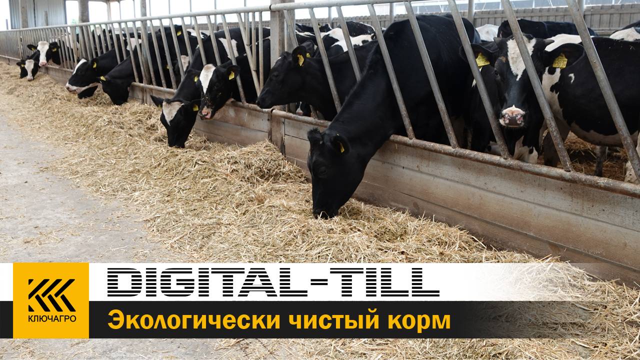 Экологически чистый корм с Цифровой культивацией DIGITAL-TILL