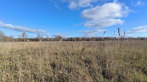 Поле. ч.6. Октябрь 2025