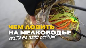 Спиннинг на Болоте на Что Ловить Щуку Осенью на Мелководье Недо Джерки Силикон и Чаттербейты