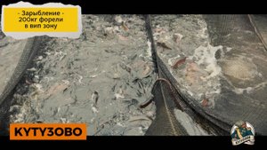 200 кг форели в вип 19.10