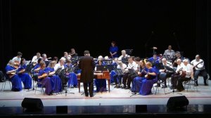 Вл. Сурков «Я на камушке сижу». Исполняет оркестр русских народных инструментов "Сувенир"