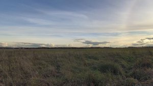 Поле. ч.9. Октябрь 2025