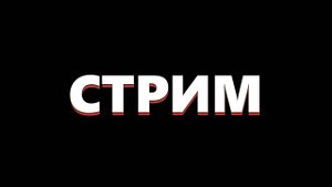 Субботний стрим помощи животным