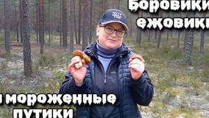 Боровики, ежовики и мороженные путики.