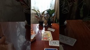 Таро.Что вам надо знать.