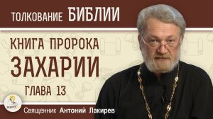 Книга пророка Захарии. Глава 13 "Порази пастыря и рассеются овцы!" Священник Антоний Лакирев