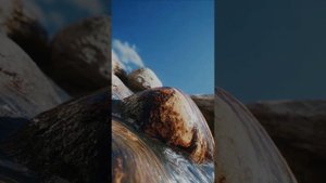 _У края гор, где тишина_