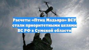 Расчеты «Птиц Мадьяра» ВСУ стали приоритетными целями ВС РФ в Сумской области