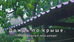 Убаюкивающий дождь. Капли по крыше.
