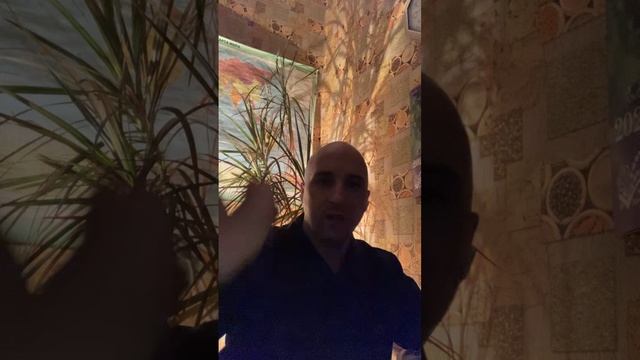 Умеешь ли ты свистеть, Йоханна? (Ульф Старк) смотреть онлайн