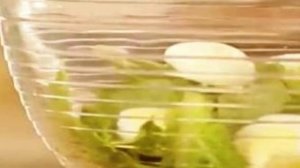 Салат с беконом и курицей