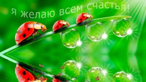 Молитва за мир во всем мире! Live онлайн-сеанс 19.10.2025