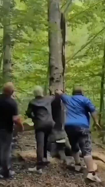 Приколы смотреть онлайн