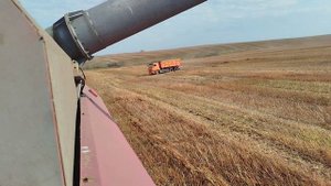 Уборка  урожая 🌾 Красота природы 🌳🌳🌳Золотая осень 🍁🍁🍁