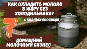Как охладить молоко в жару без холодильника? 6 водных способов. Домашний молочный бизнес ч.7