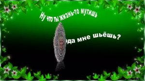 ЗАГЛЯНУЛА В ПАСПОРТ...