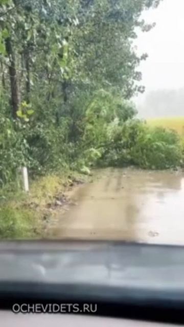 расчистил дорогу😂😂😂 смотреть онлайн