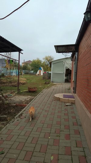 играем