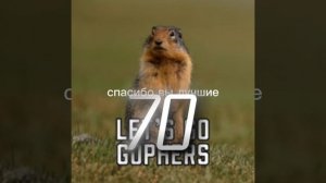 спс огромное