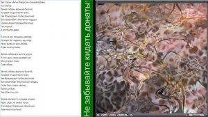 Вечная любовь (Антон Макарский) караоке!