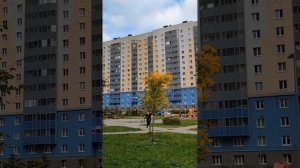 Осень в спальных районах Питера