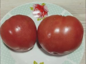 Томат Бычье сердце розовое Майкла