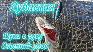Ловля на спиннинг. Щука. Тест экшн камеры.