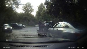 обдолбанные симы