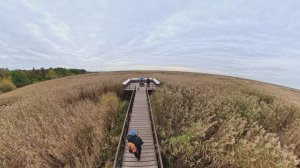 Пешком по экотропе Бугаиная и У Лукоморья 5.10.2025