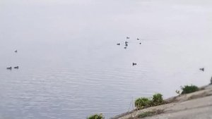 1000033148.mp4
