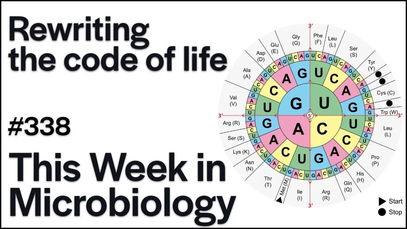 TWiM 338_ Rewriting the code of life