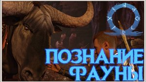 Она ворует души? GoW Ragnarok. #14